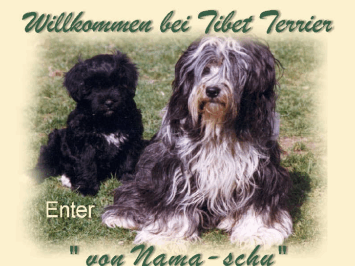 www.tibet-terrier-zucht.com