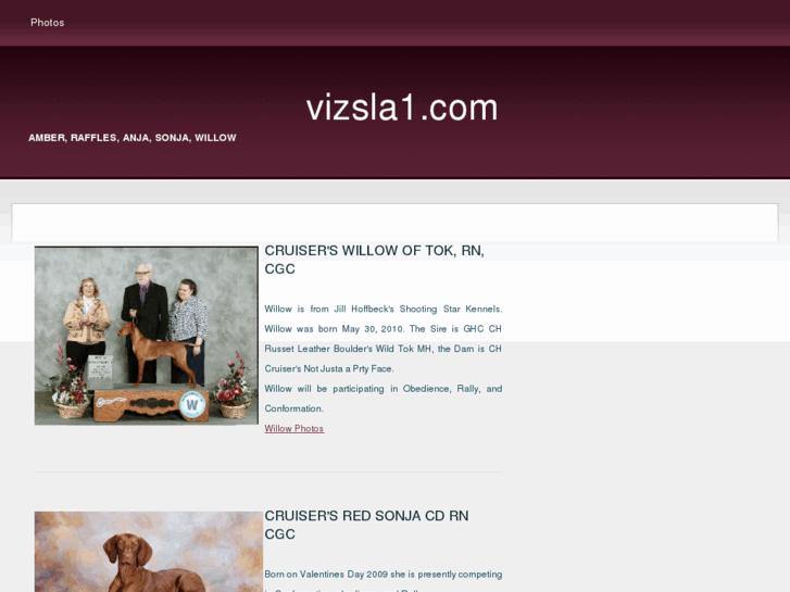 www.vizsla1.com