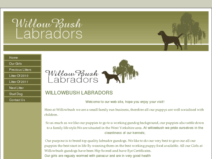 www.willowbushlabradors.co.uk