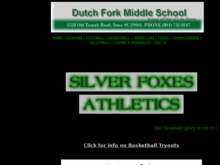 www.dfmssilverfoxes.com