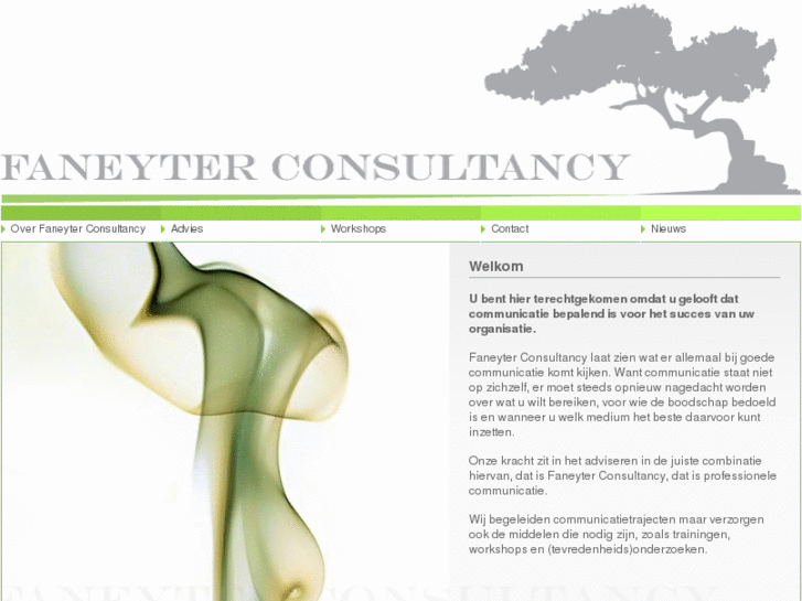 www.faneyterconsultancy.com