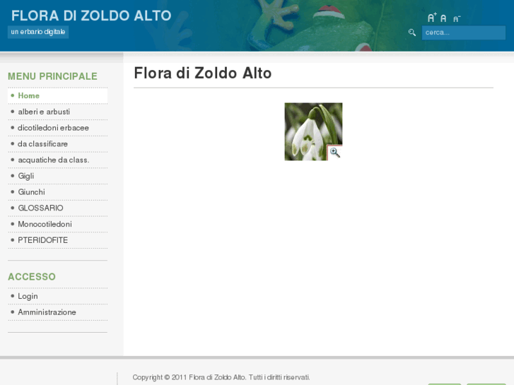 www.floradizoldo.net