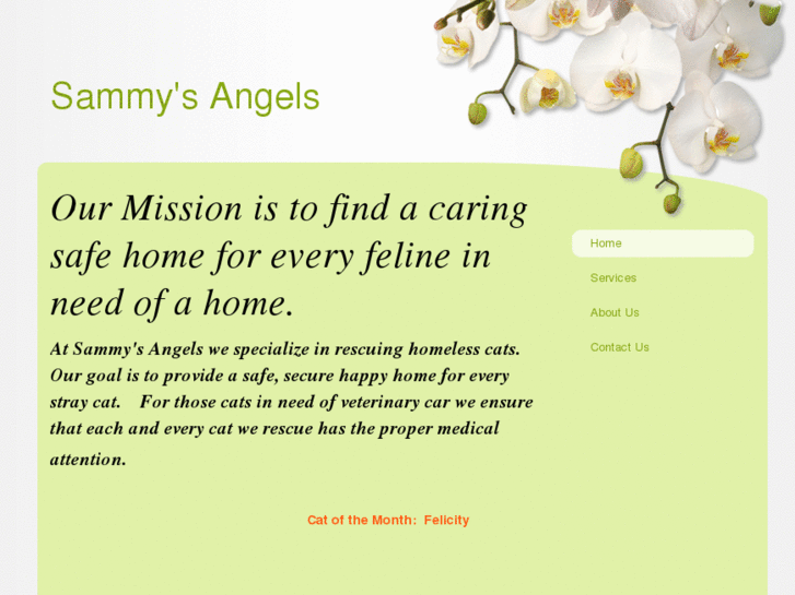 www.samangels.com