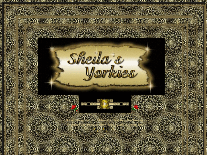 www.sheilasyorkies.com