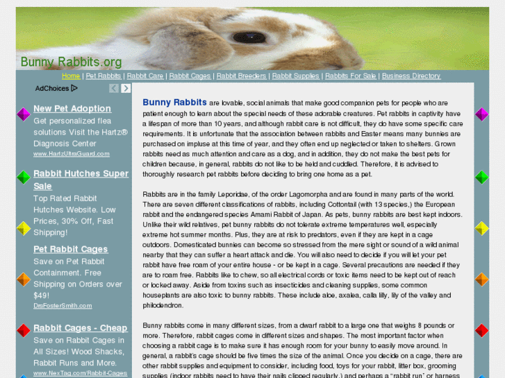 www.bunnyrabbits.org