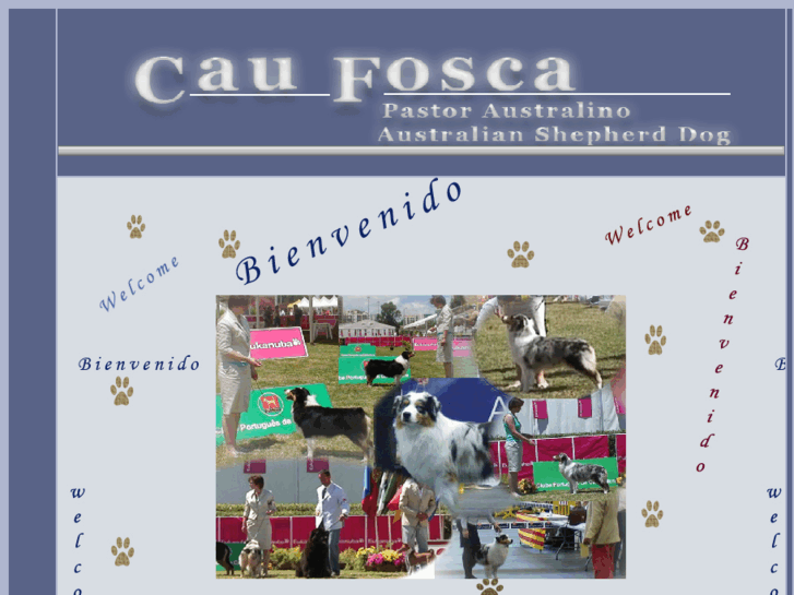 www.caufosca.com