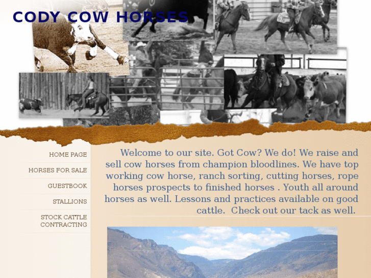 www.codycowhorses.com