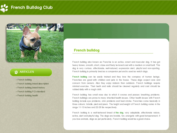 www.frenchbulldogclubofengland.org