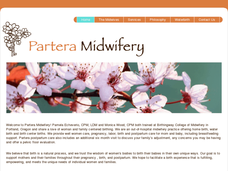 www.parteramidwifery.com