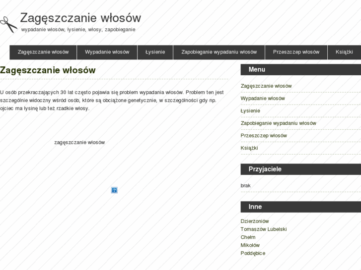 www.zageszczanie-wlosow.katowice.pl