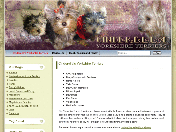 www.cinderellayorkies.com