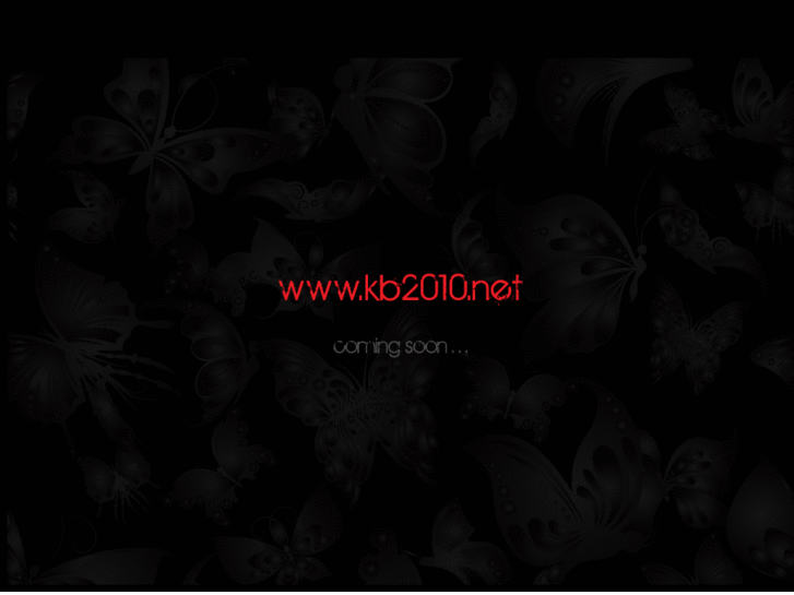 www.kb2010.net