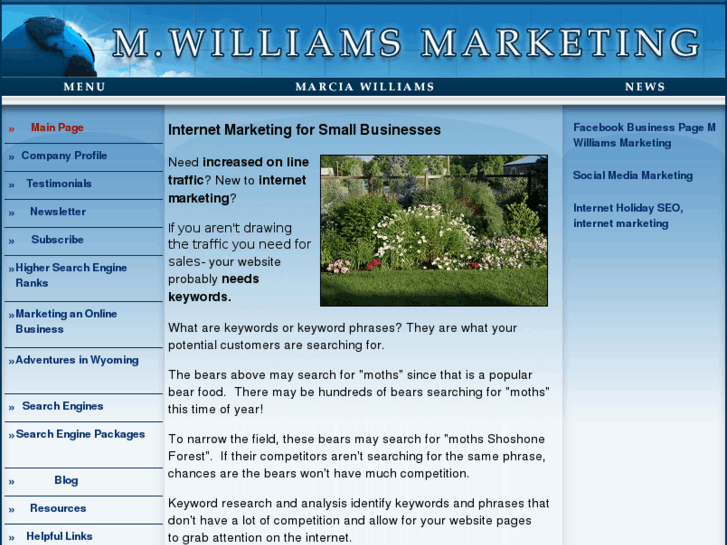 www.mwilliamsmarketing.com