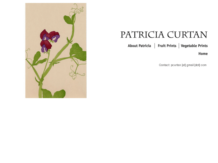 www.patriciacurtan.com