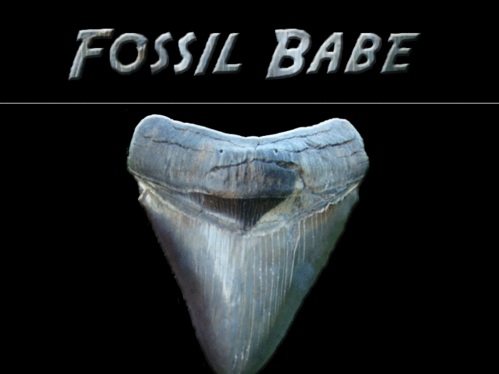 www.fossilbabe.com