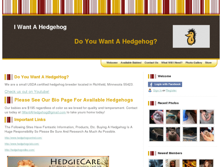 www.iwantahedgehog.com