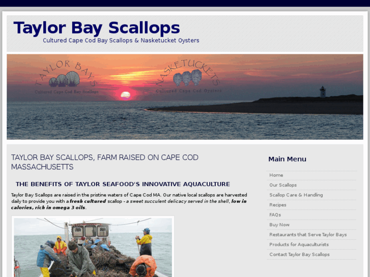 www.taylorbayscallops.com