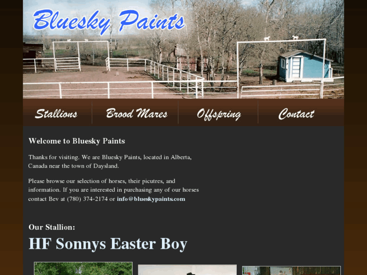 www.blueskypaints.com