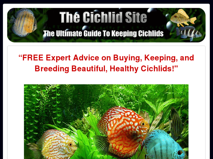 www.cichlidssite.com