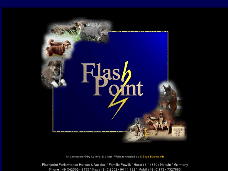 www.flashpoint-qh.com