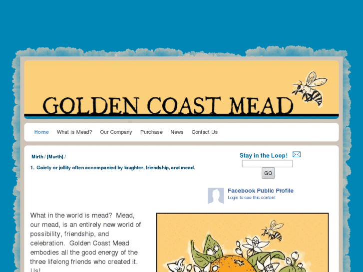 www.goldencoastmead.com