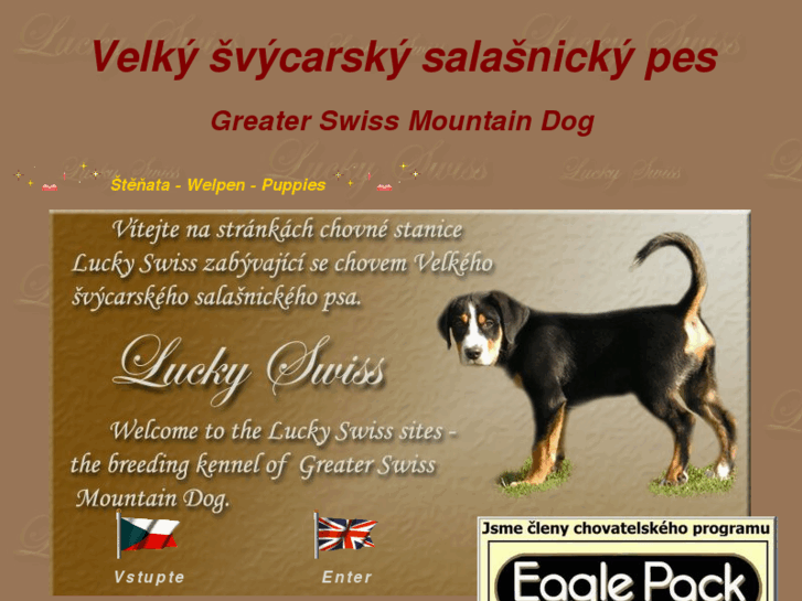 www.luckyswiss.com