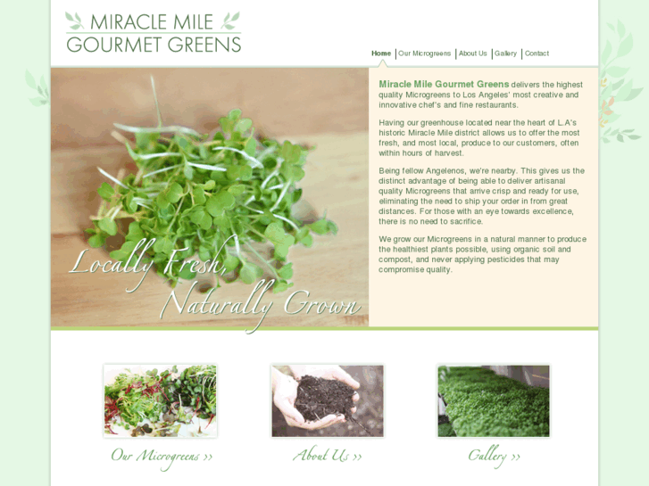 www.miraclemilegourmetgreens.com