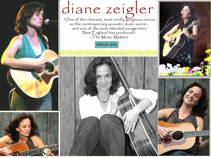 www.dianezeigler.com