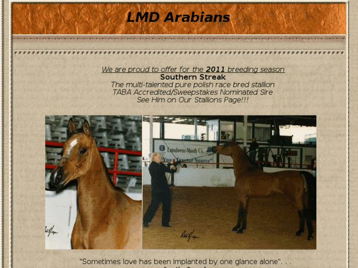 www.lmdarabians.com