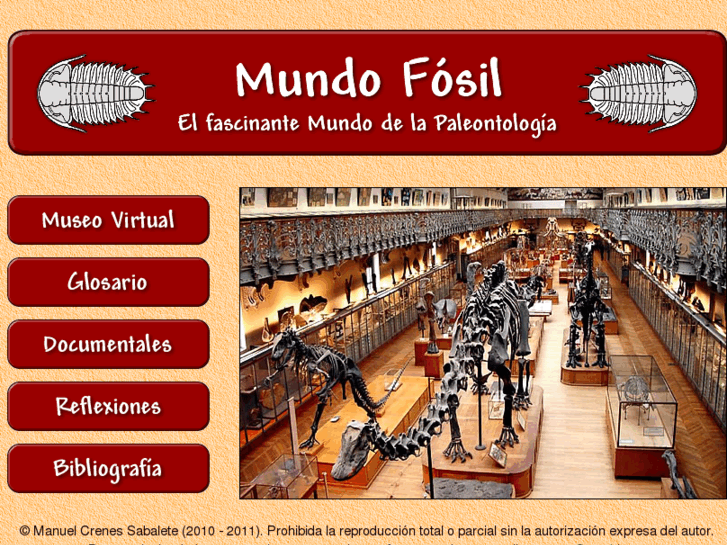 www.mundofosil.net