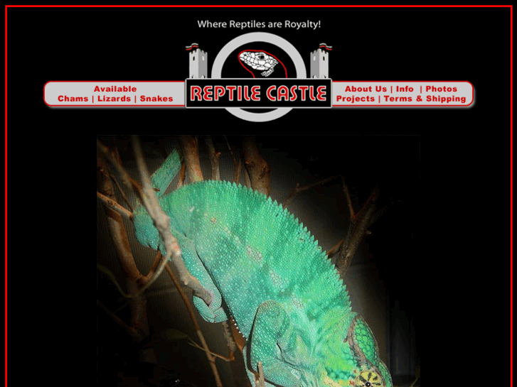www.reptilecastle.com