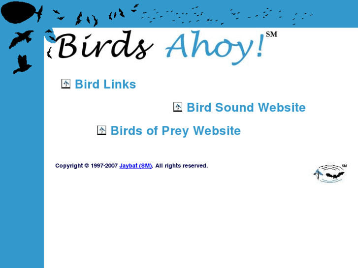 www.birdsahoy.com