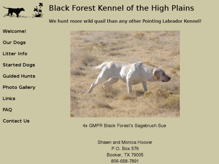 www.blackforesthighplains.com