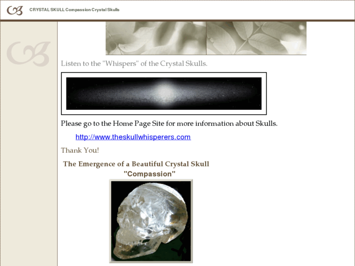 www.crystalskullwhisperers.info