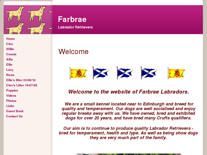 www.farbraelabradors.com