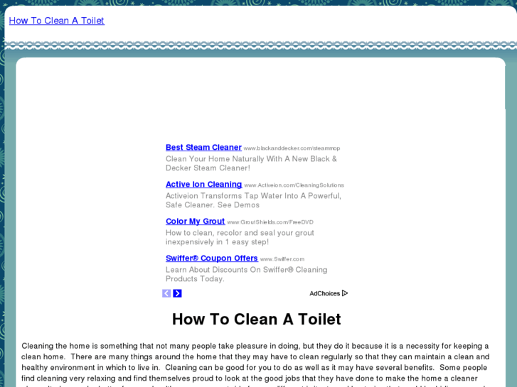 www.howtocleanatoilet.com