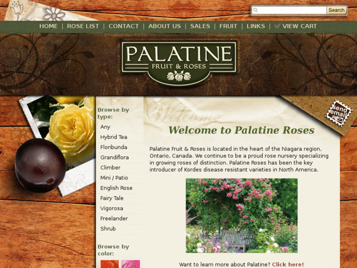 www.palatineroses.com