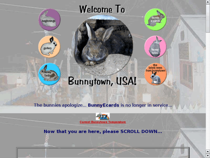 www.bunnytown.com