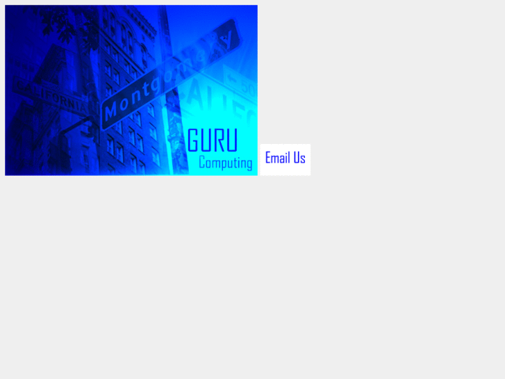 www.gurucomputing.com