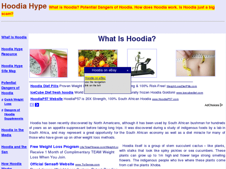 www.hoodiahype.com