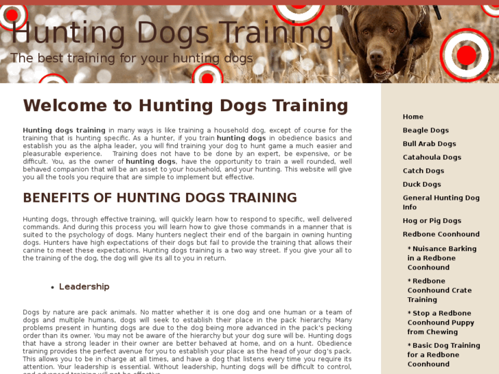 www.huntingdogstraining.com