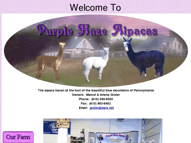 www.purplehazealpacas.com