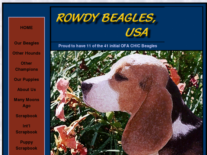 www.rowdybeagles.com