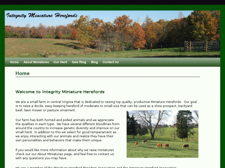 www.integrityherefords.com