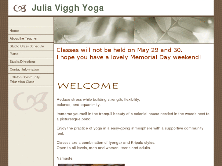 www.juliavigghyoga.com