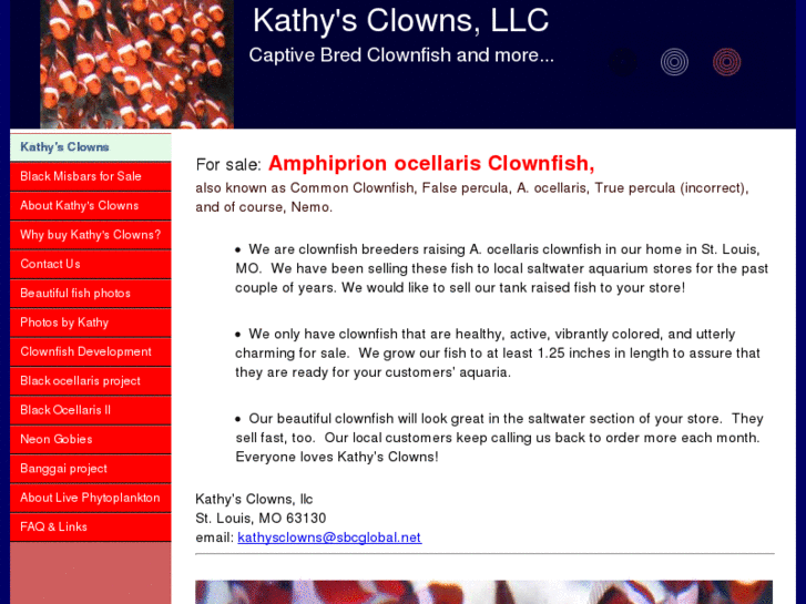 www.kathysclowns.com