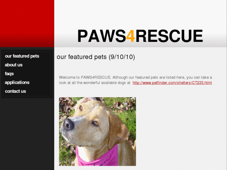 www.paws4rescue.org