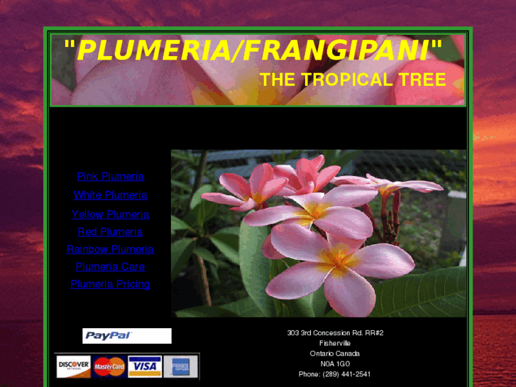 www.thetropicaltree.com