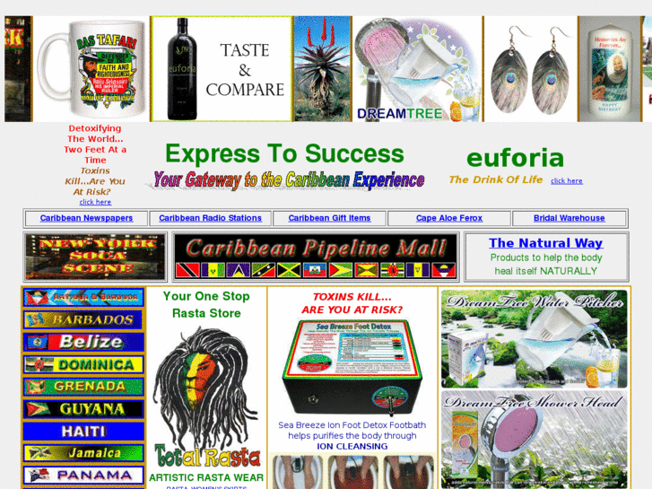 www.expresstosuccess.com