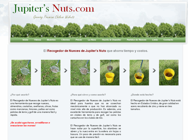 www.jupitersnuts.com